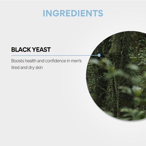 INNISFREE Forest for Men Pore Care All-In-One Essence 100mL INNISFREE Forest for Men Pore Care All-In-One Essence 100mL