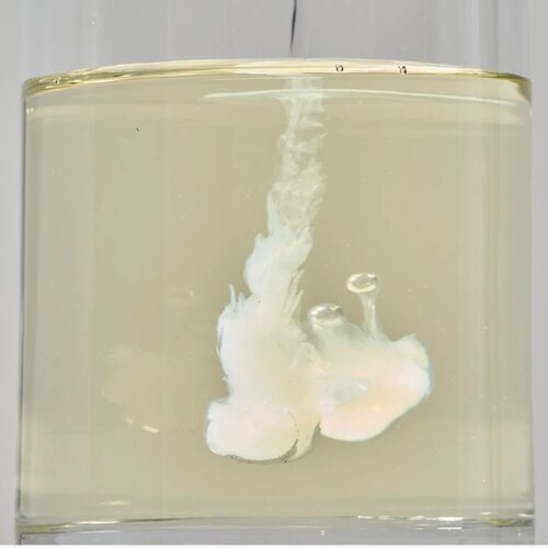 Round Lab Soybean Cleansing Oil 200mL