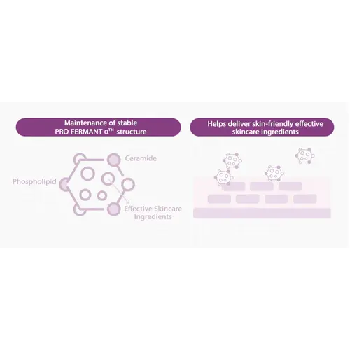 MISSHA Time Revolution Night Repair Special Set 5X (2) MISSHA Time Revolution Night Repair Special Set 5X (2)