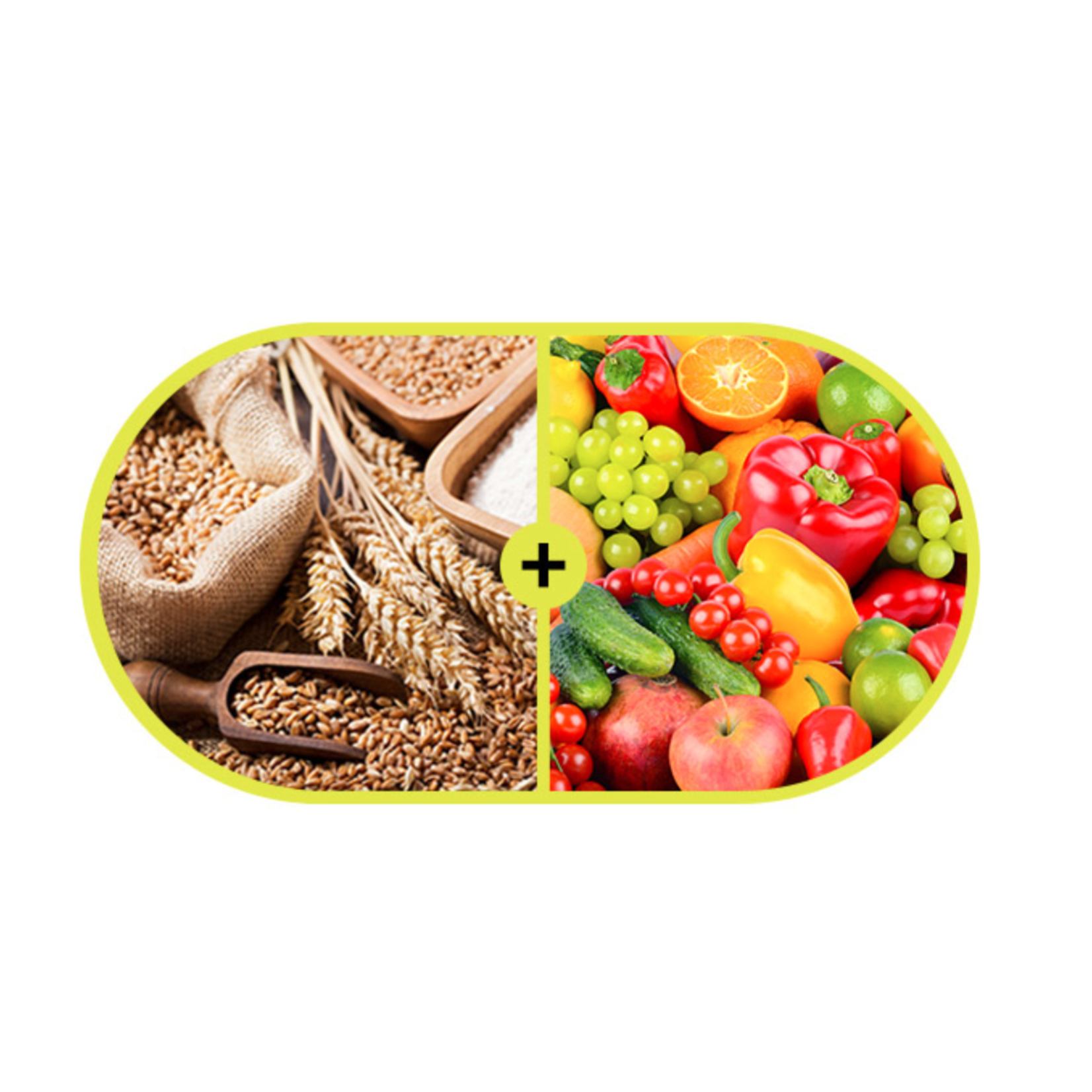 MUSE:HABIT 169 I'm Pine Grain Enzyme 4g (30pks/box)
