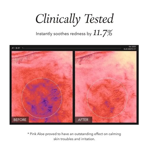 APRILSKIN Pink Aloe Pack Cleanser 120g