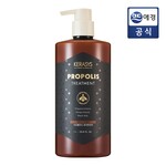KERASYS Propolis Damage Repair Treatment 1L