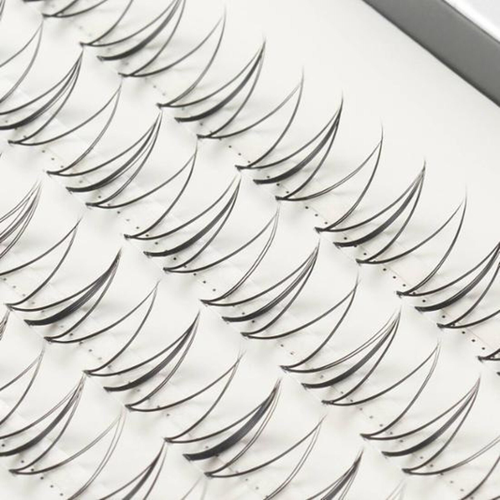 FILLIMILLI Point Piece Lashes #02 Clear Line (9mm) 60p
