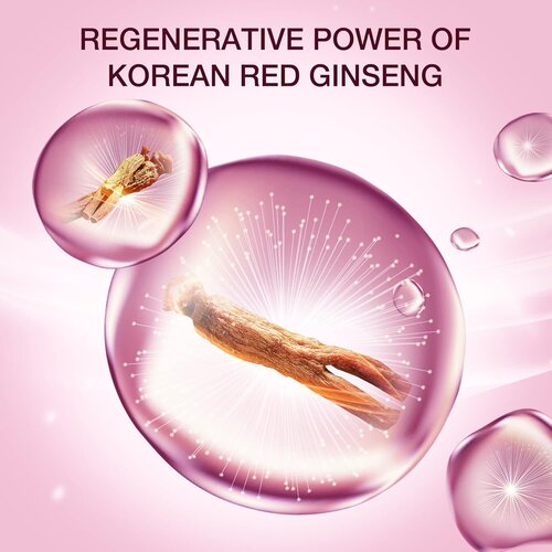 DONGINBI Red Ginseng Daily Defense Special Set DONGINBI Red Ginseng Daily Defense Special Set
