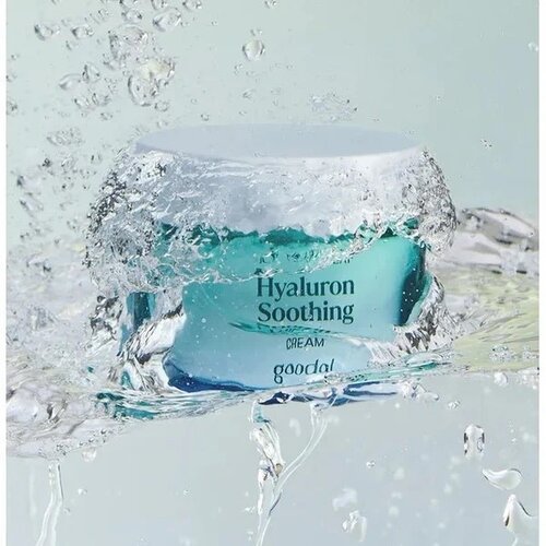 GOODAL Ice Heartleaf Hyaluron Soothing  Cream 75mL GOODAL Ice Heartleaf Hyaluron Soothing  Cream 75mL