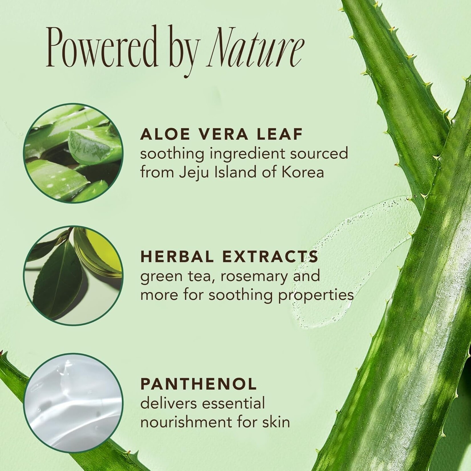THE FACE SHOP Jeju Aloe Fresh Soothing Foam Cleanser 150mL