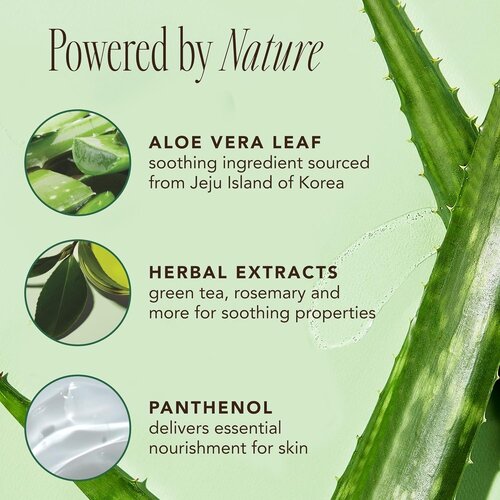 THE FACE SHOP Jeju Aloe Fresh Soothing Foam Cleanser 150mL THE FACE SHOP Jeju Aloe Fresh Soothing Foam Cleanser 150mL