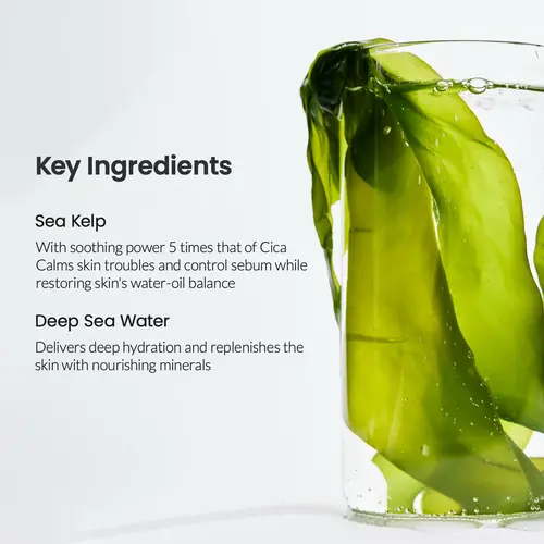 BIODANCE Refreshing Sea Kelp Real Deep Mask 34g 1pc