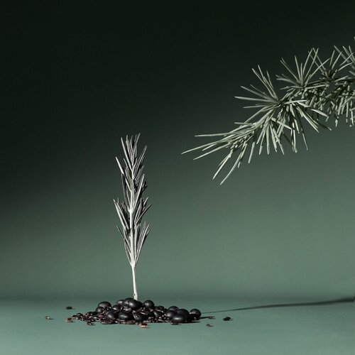 AROMATICA Rosemary Active V Anti-Hair Loss Tonic 100mL AROMATICA Rosemary Active V Anti-Hair Loss Tonic 100mL