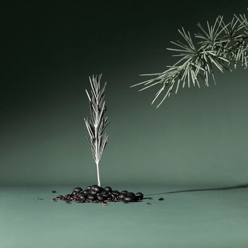 AROMATICA Rosemary Active V Anti-Hair Loss Tonic 100mL