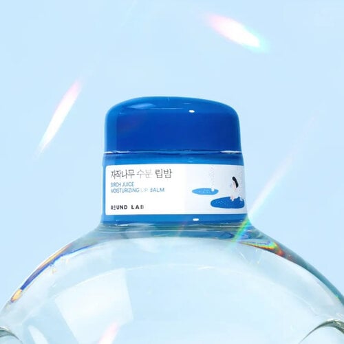 Round Lab Birch Juice Moisturizing Lip Balm 20g Set With Brush