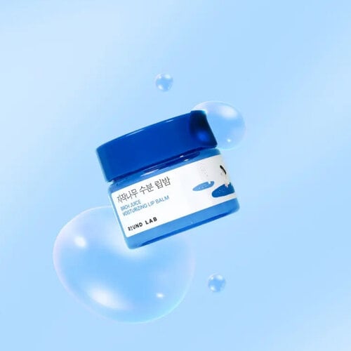 Round Lab Birch Juice Moisturizing Lip Balm 20g Set With Brush