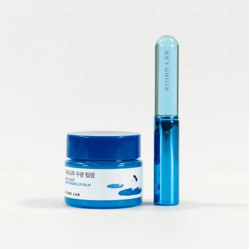 Round Lab Birch Juice Moisturizing Lip Balm 20g Set With Brush