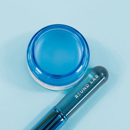 Round Lab Birch Juice Moisturizing Lip Balm 20g Set With Brush