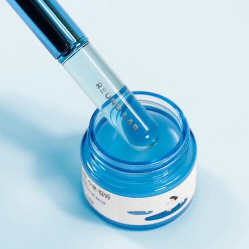 Round Lab Birch Juice Moisturizing Lip Balm 20g Set With Brush