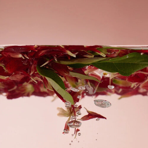 Round Lab Camellia Deep Collagen Jelly Mask Cleanser 150mL