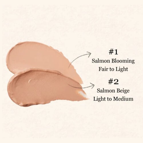SKINFOOD Salmon Darkcircle Concealer Cream 10g