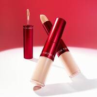 Glide & Hide Blurring Concealer 8 g