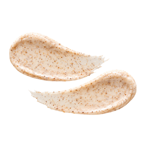 THE FACE SHOP Lip Scrub 10g Shea Butter THE FACE SHOP Lip Scrub 10g Shea Butter