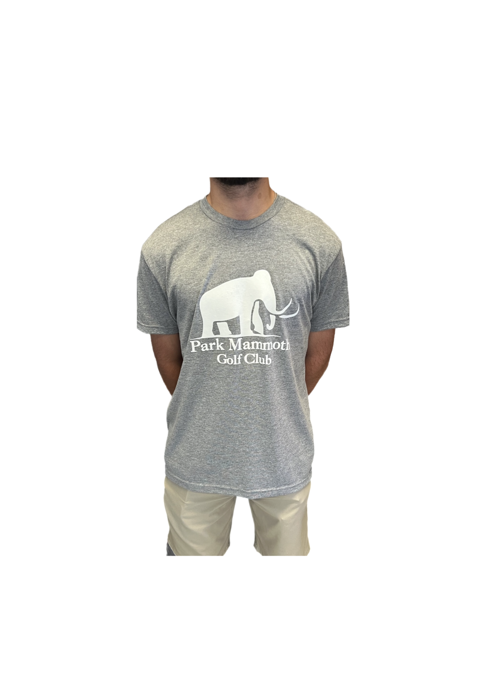 Blue Cotton Park Mammoth SS Shirt