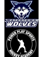 Private Training Session with Pro Watertown Wolves ( Goalie)