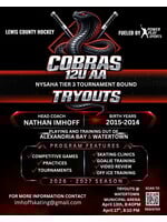 Cobras 12u AA Tier 3 Tournament Bound Team Try Outs