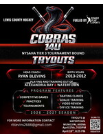 Cobras 14u Tier 3 Tournament Bound Team Tryouts