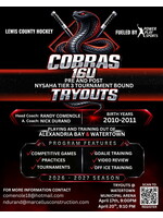Cobras 16u Tier 3 Tournament Bound Team Tryouts