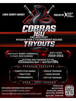 Cobras 16u Tier 3 Tournament Bound Team Tryouts