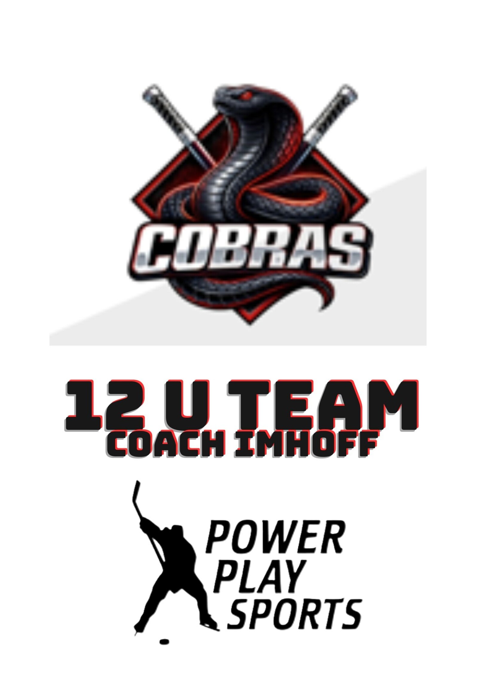 Cobras 12u TB Team Registration Payments 2026-2027 Season