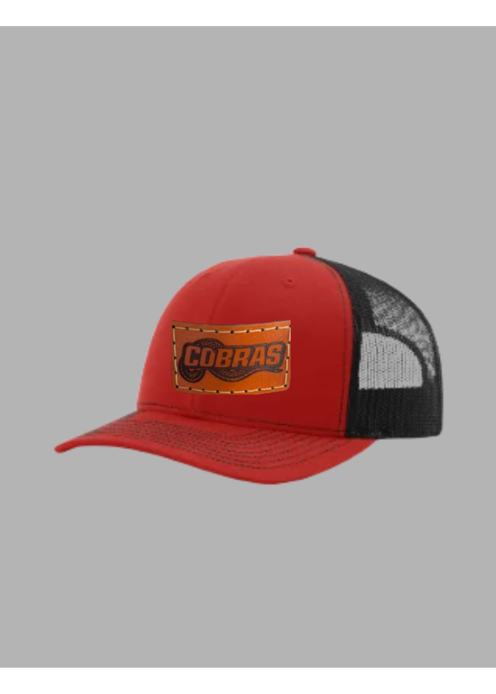 Cobras Leather Patched Hat