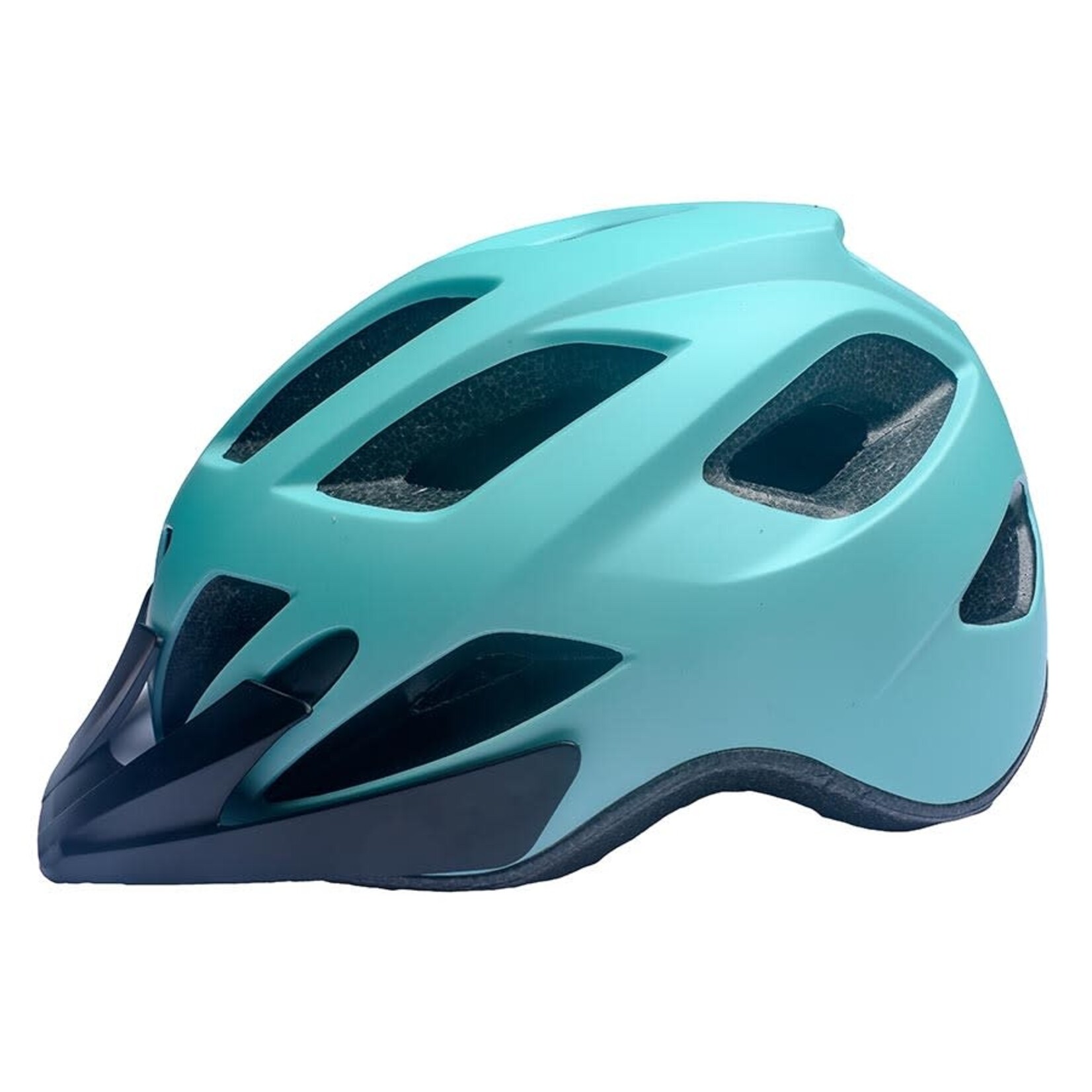 EVO All-Mountain Helmet