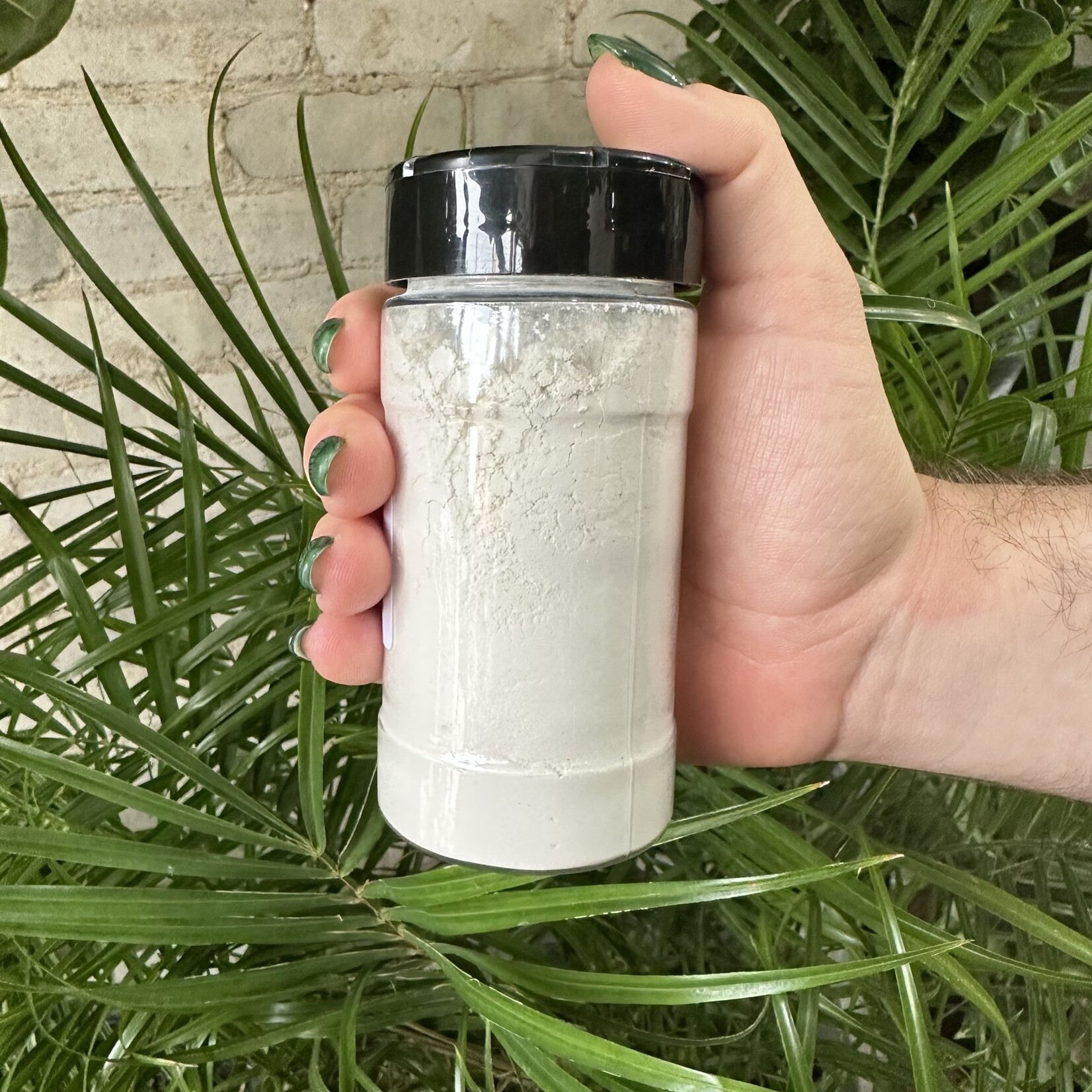 Diatomaceous Earth (8oz Shaker)