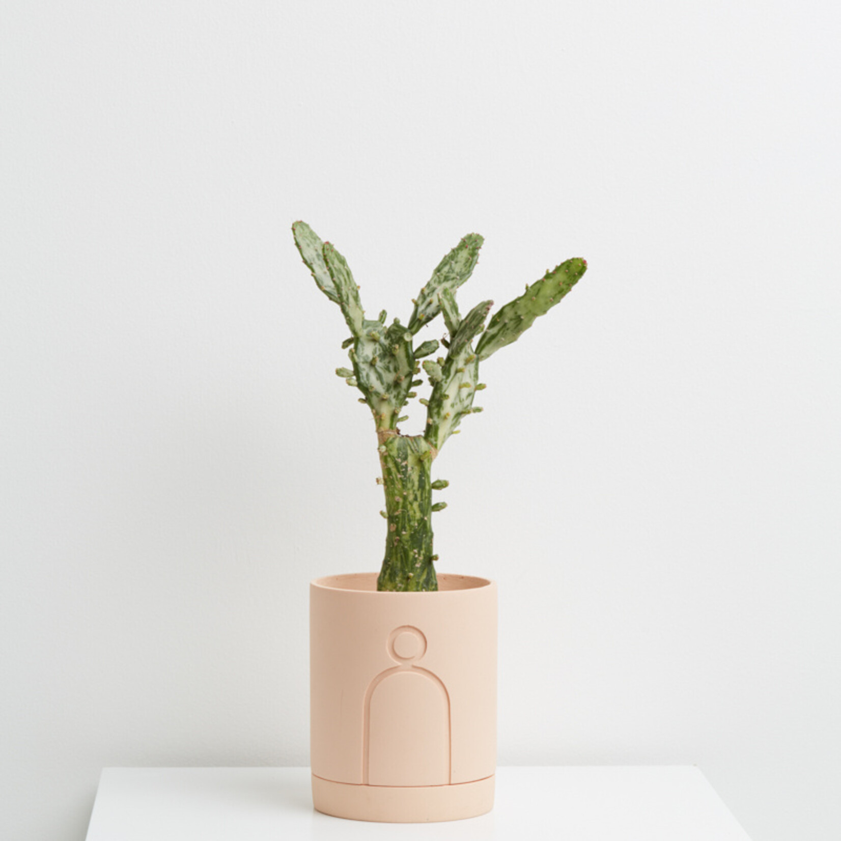 Capra Designs - Etch Salt