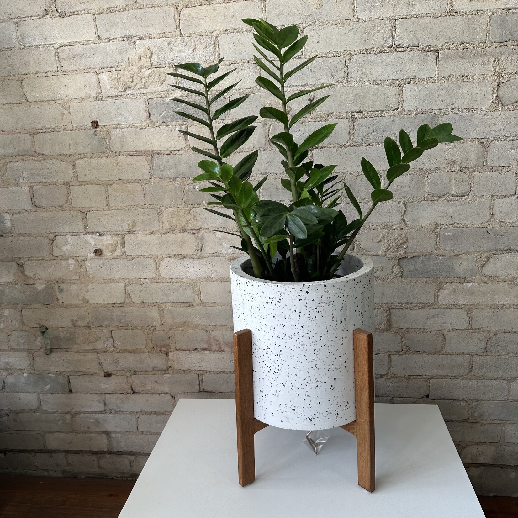 Terrazzo Pot with stand - DALE (fits 10")