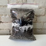 Pro-Mix Sam's Aroid Mix! (2.5L of specialty Aroid Soil)