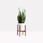 LAST RUN Clay Pots & Stands (Peach & Pebble)
