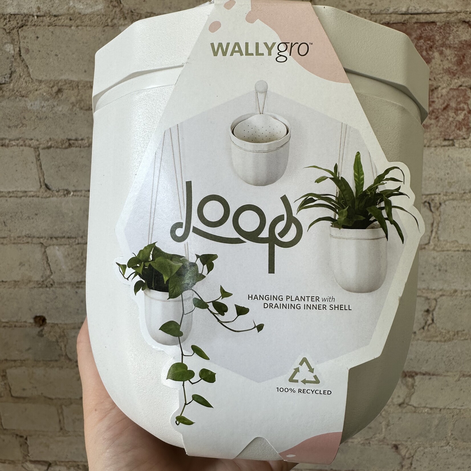 WallyGrow Loop - Hanging planter White