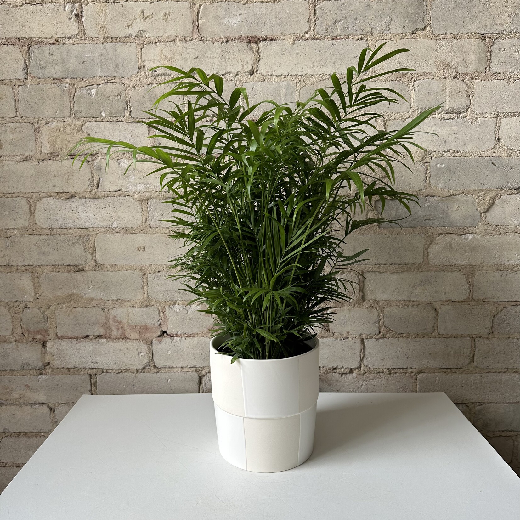 Checkerboard Pot Cream (fits 6")