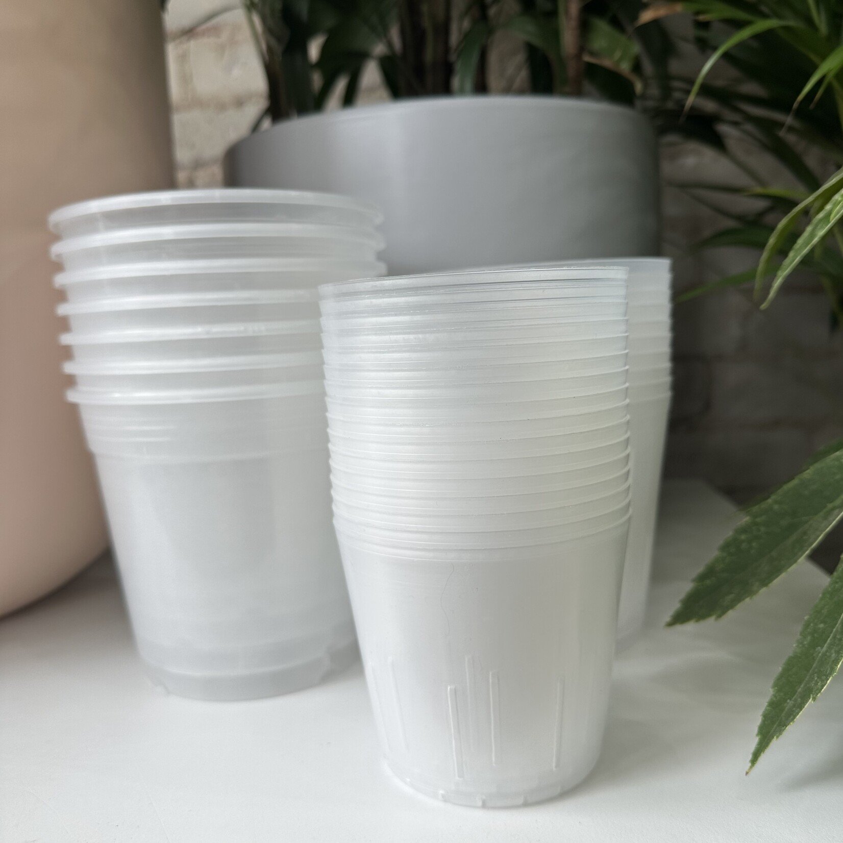 Clear Orchid Grow Pot