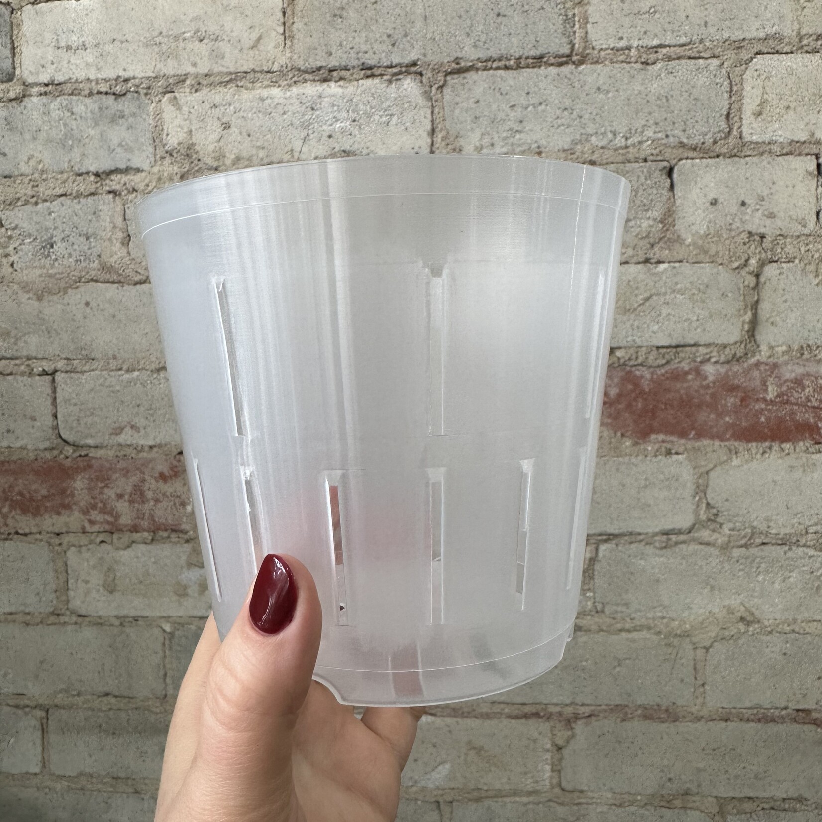 Clear Orchid Grow Pot