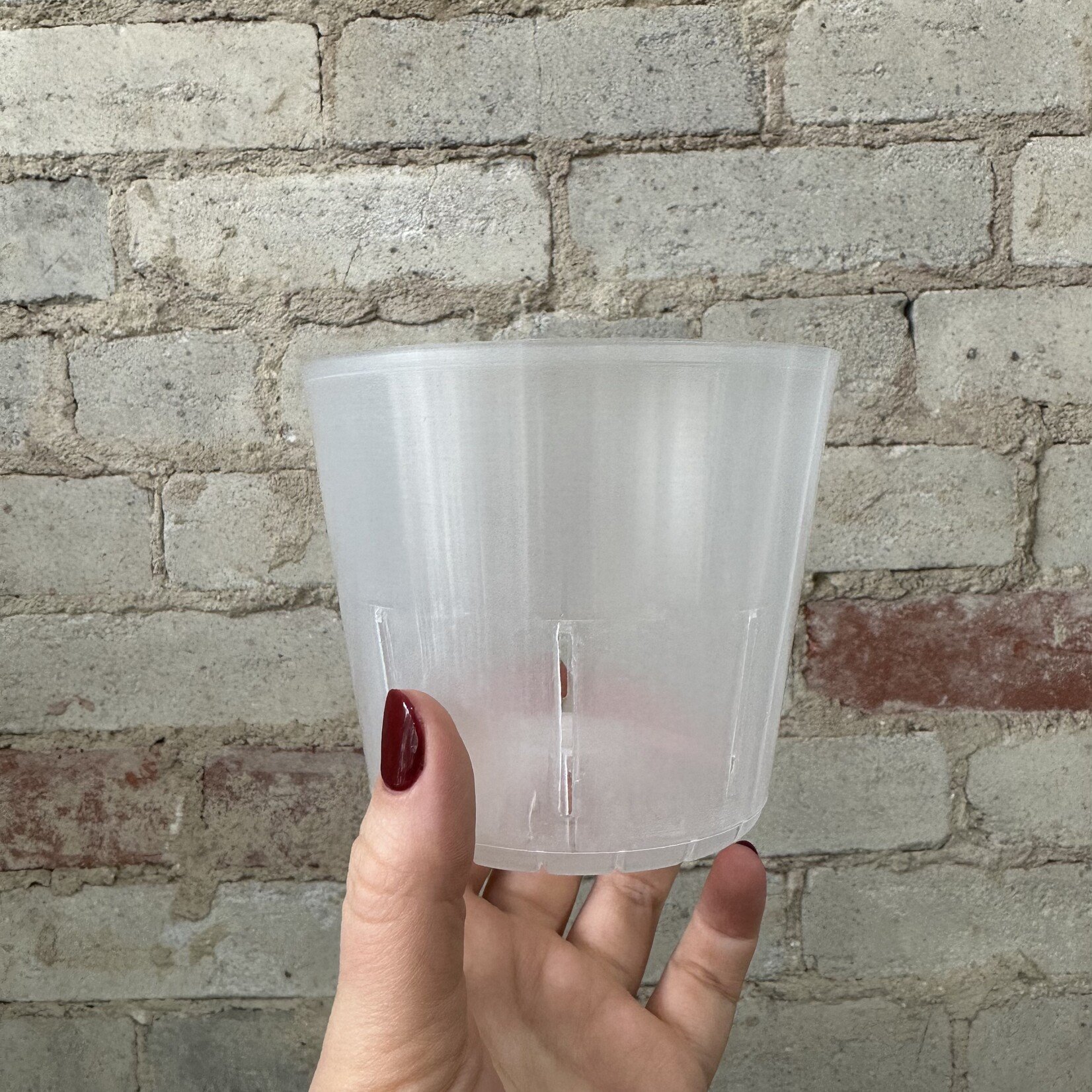 Clear Orchid Grow Pot