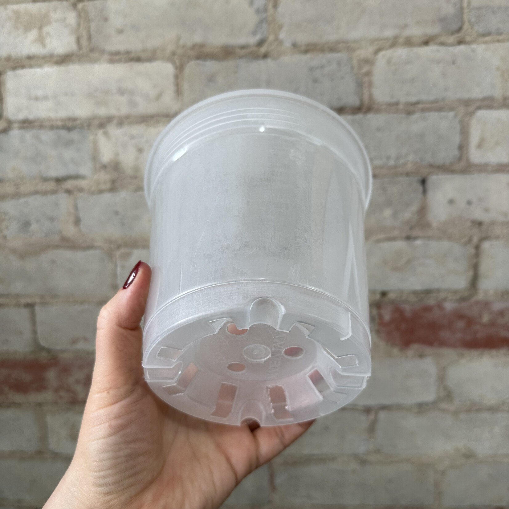 Clear Orchid Grow Pot