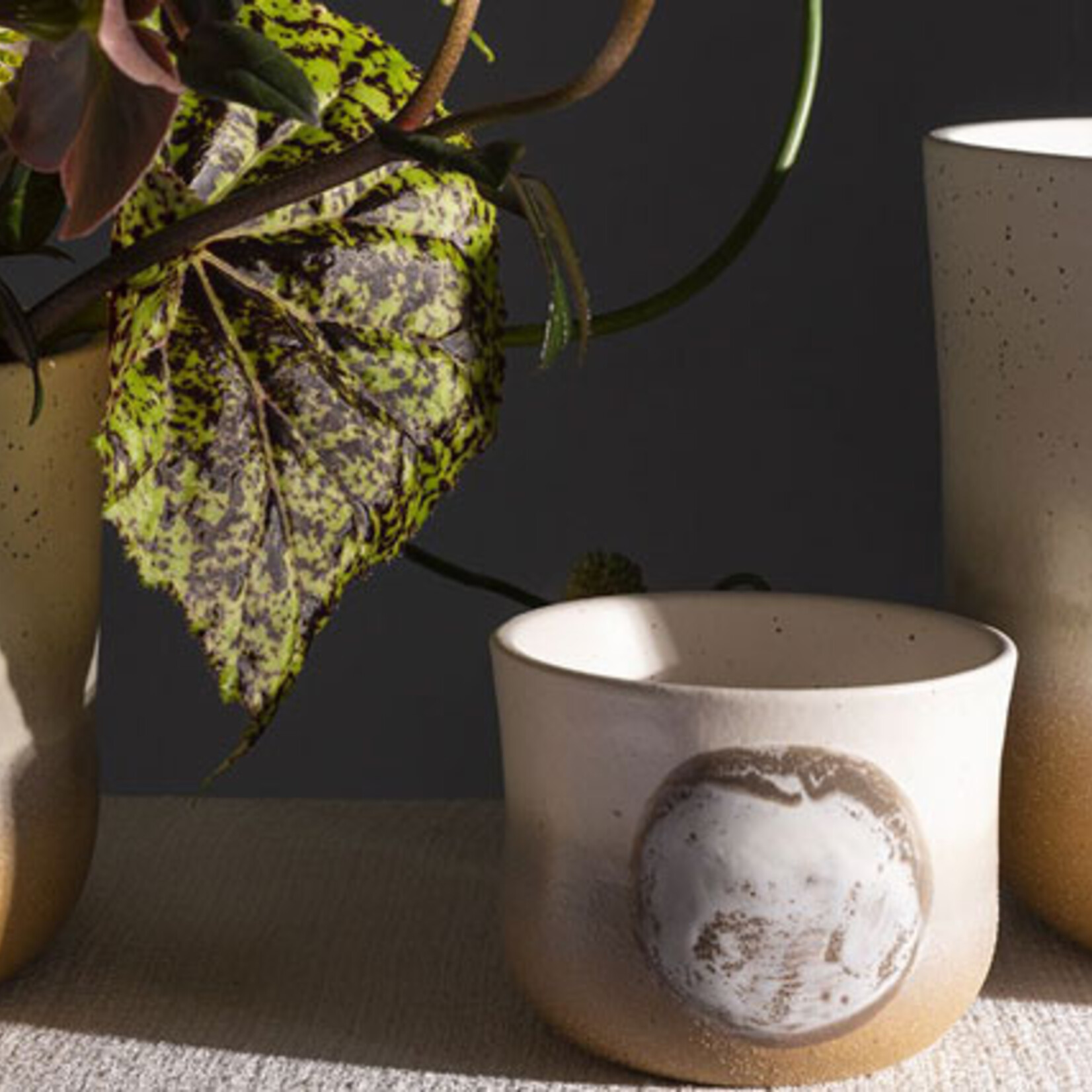 Assorted Pots Hala Pot (fits 3")