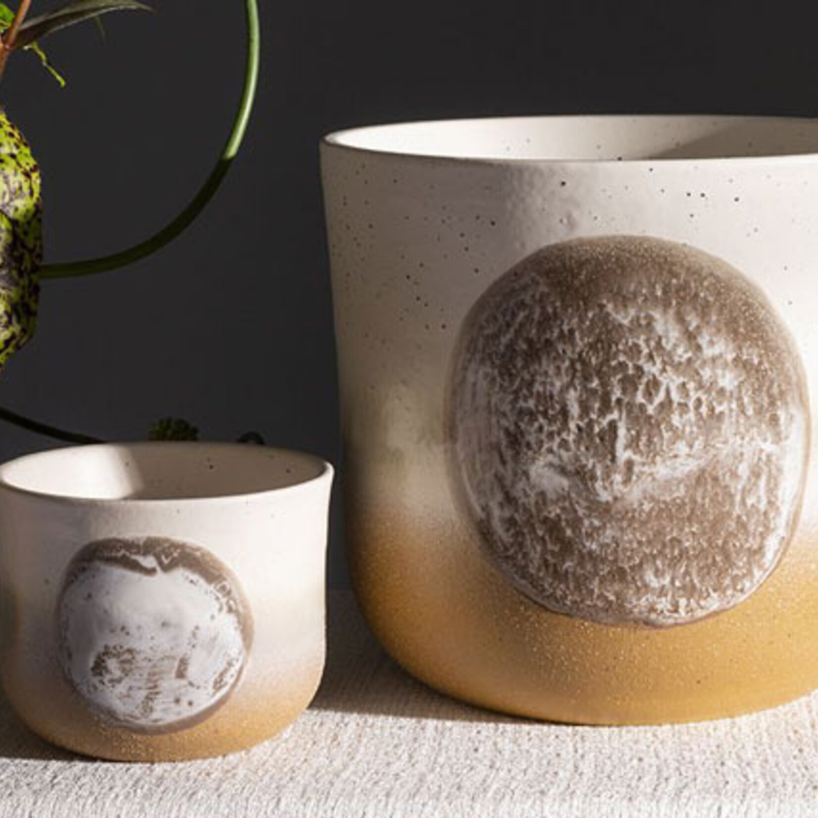 Assorted Pots Hala Pot (fits 3")