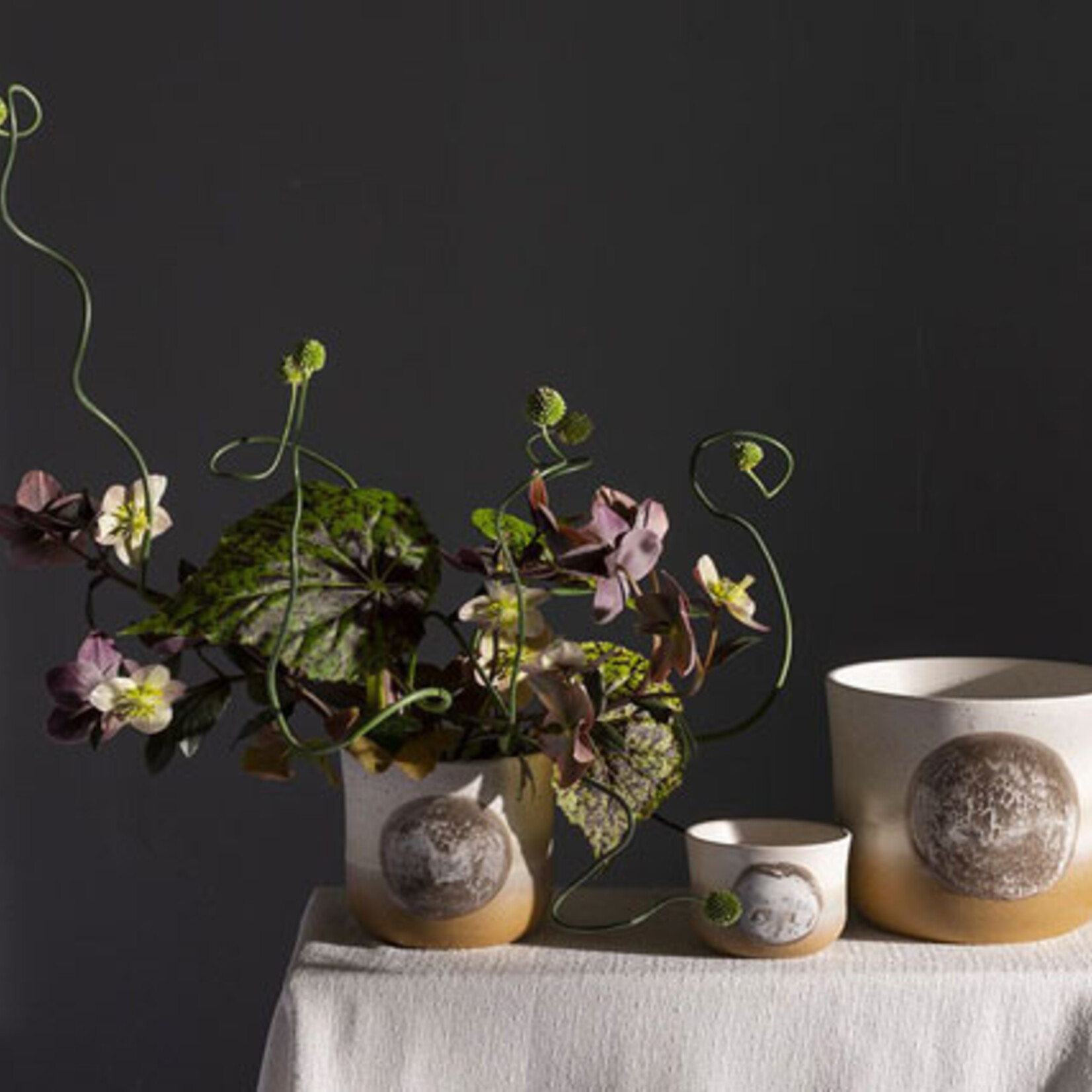 Assorted Pots Hala Pot (fits 3")