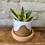 Nightshift Ceramics - Drift 3" (with saucer)