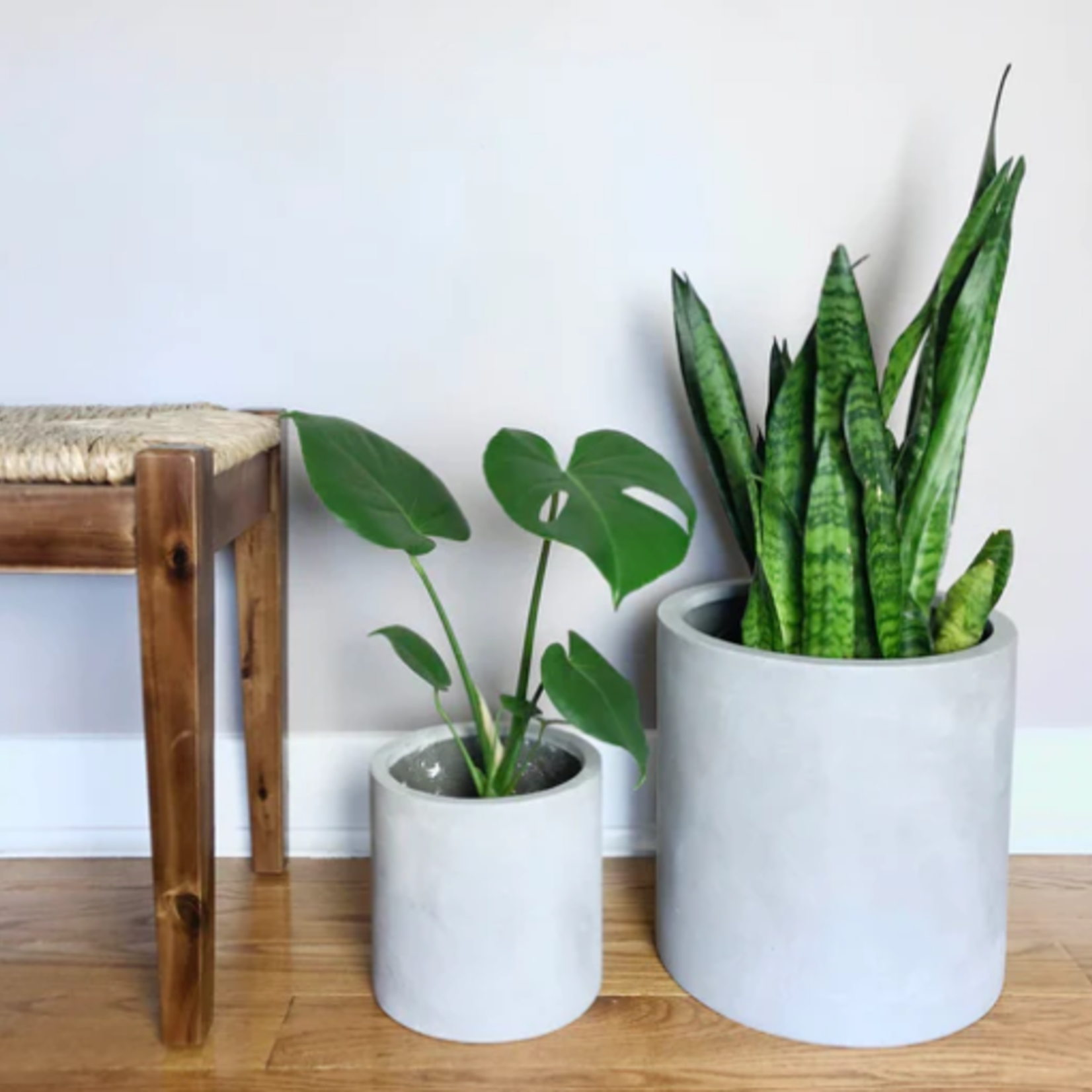 Common House - Cylinder Pot Natural Grey Large (10")