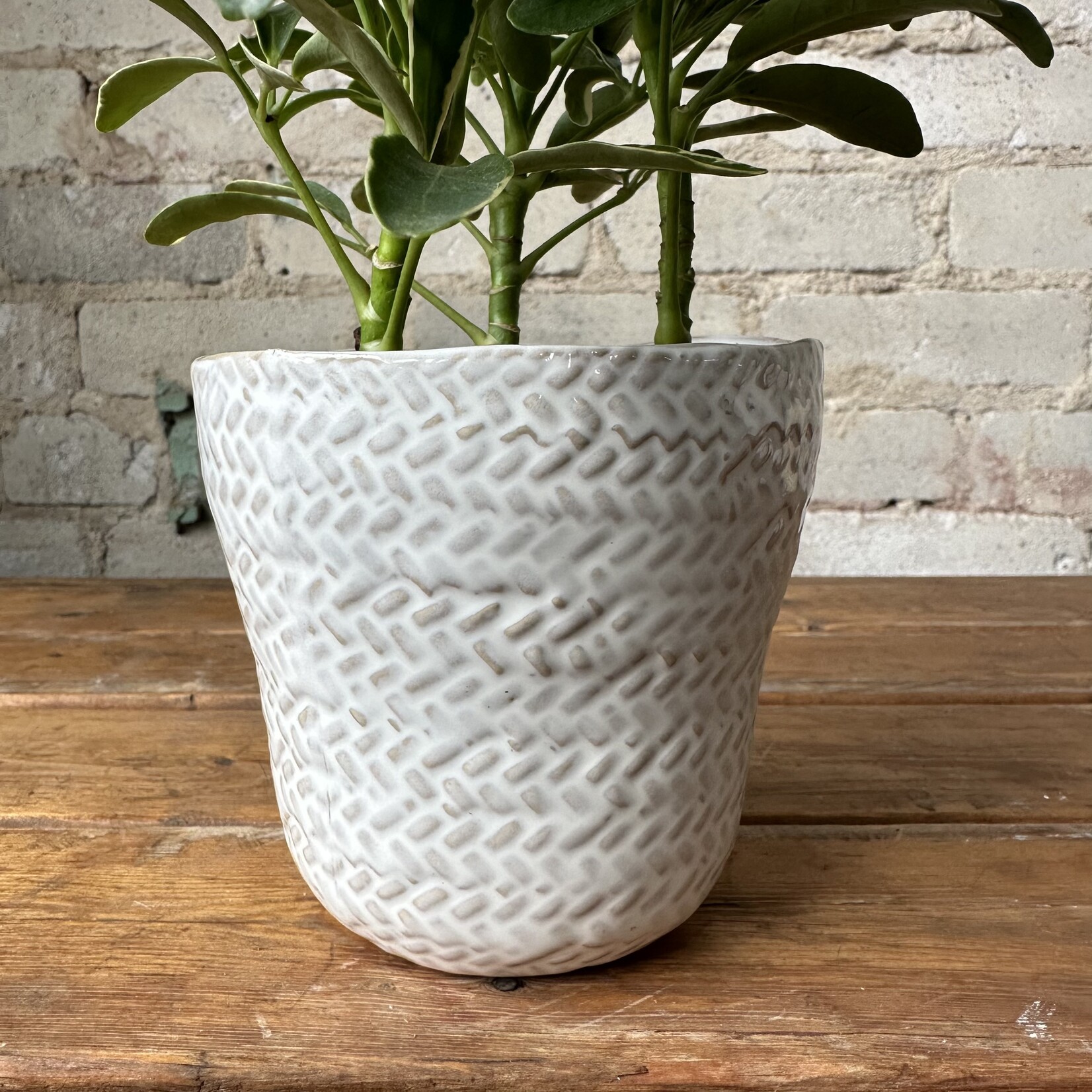 Amstel Pot (fits 4")