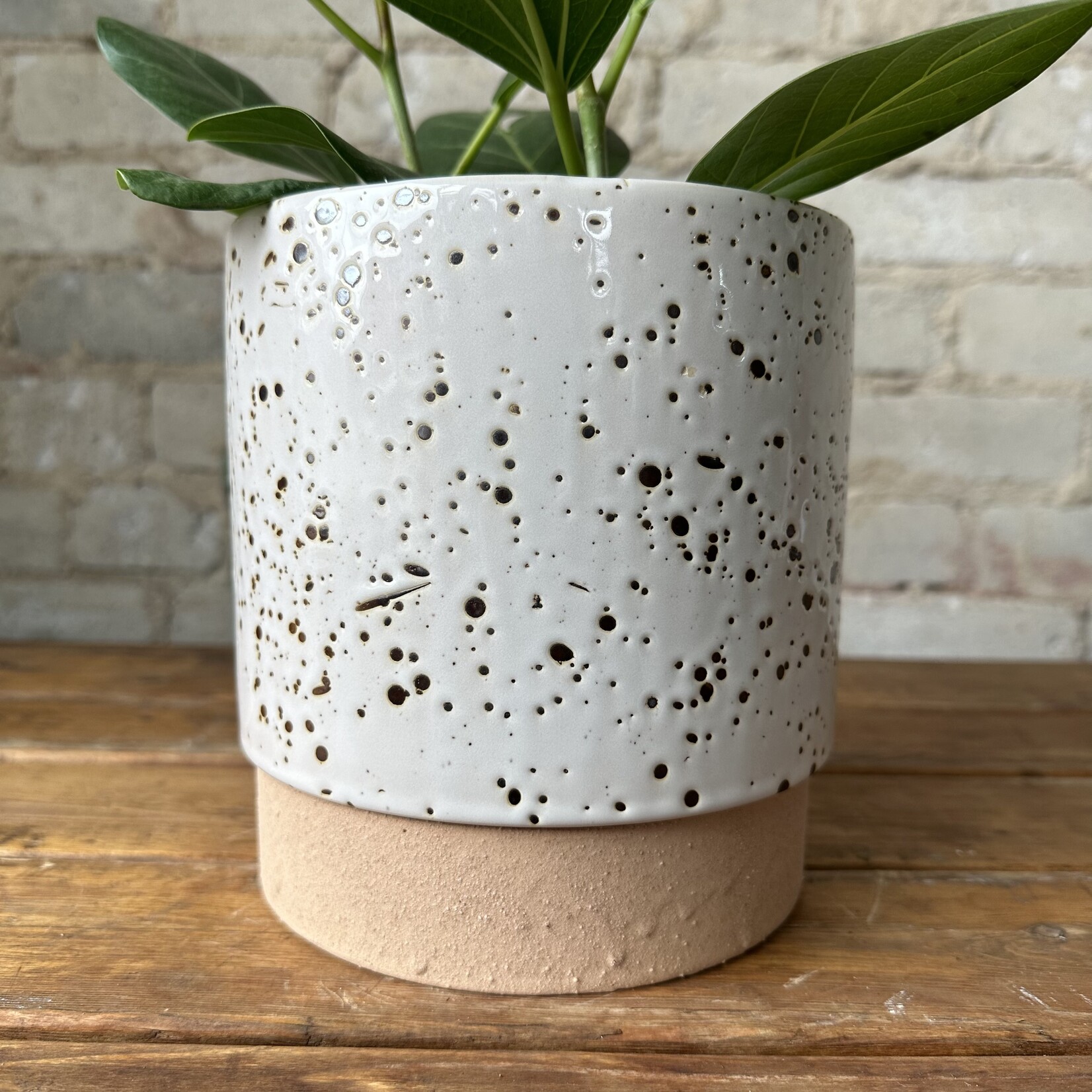 Briar Pot with drainage + saucer (fits 6")